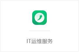 网站/APP开发-IT运维服务